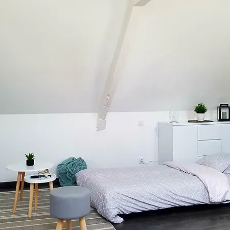 Appartement Le P'tit Cosy Lorient